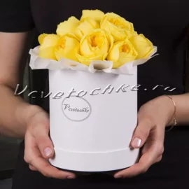 Шляпная коробка Demi «Роза Каталина»