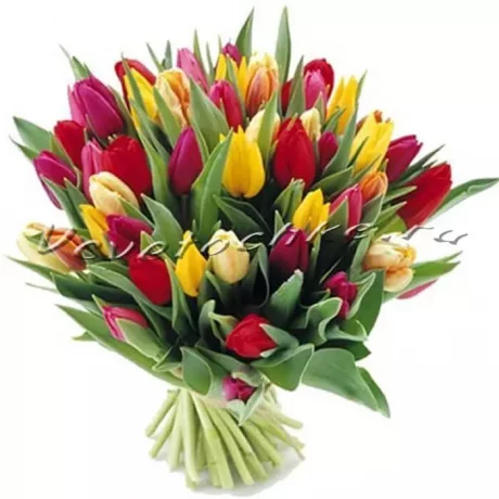 Букет «31 разноцветных тюльпанов»