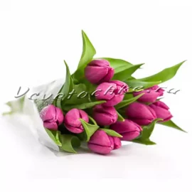 Букет «11 тюльпанов»