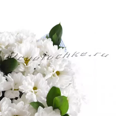 Букет "Ромашки", Доставка цветов Тольятти, цветы Тольятти, Vcvetochke