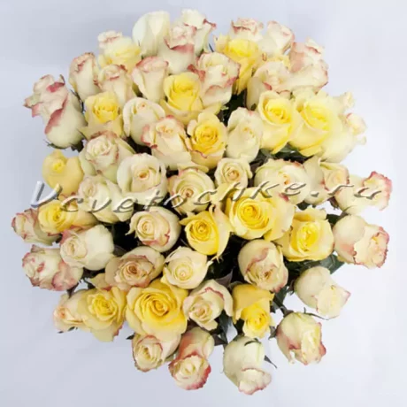 Букет "61 роза желтых оттенков", Доставка цветов Тольятти, Vcvetochke