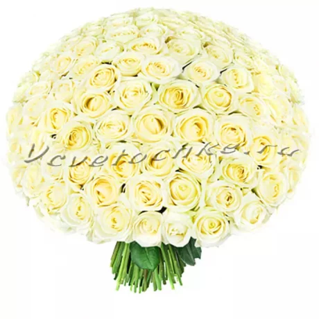 Букет "101 белая роза", Доставка цветов Тольятти, цветы Тольятти, Vcvetochke
