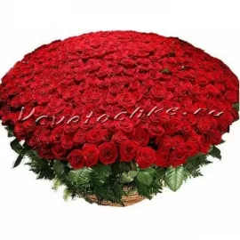 Букет «301 красная роза»