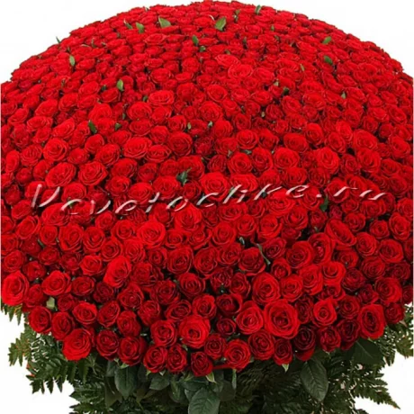 Букет «501 красная роза»