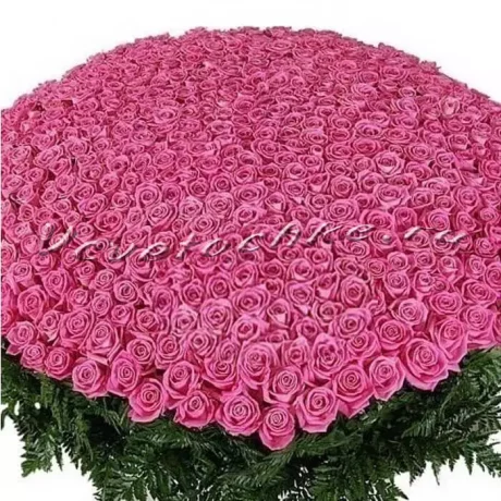 Букет "1001 розовая роза", Доставка цветов Тольятти, цветы Тольятти, Vcvetochke