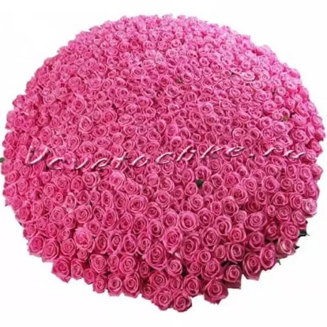 Букет "1001 розовая роза", Доставка цветов Тольятти, цветы Тольятти, Vcvetochke