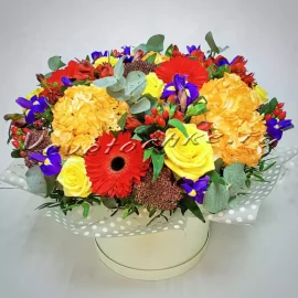 Шляпная коробка "Ифиона", Доставка цветов Тольятти, цветы Тольятти, Vcvetochke