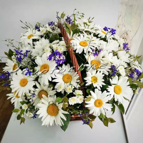 Композиция "Корзина ромашек", Доставка цветов Тольятти, цветы Тольятти, Vcvetochke