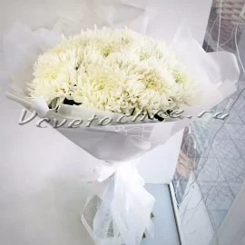 Букет "11 белых одноголовых хризантем", Доставка цветов Тольятти, цветы Тольятти, Vcvetochke
