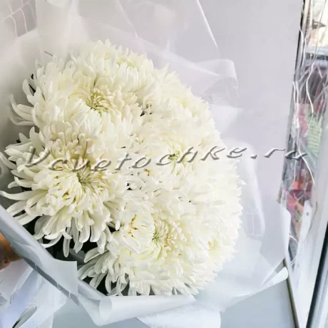 Букет "11 белых одноголовых хризантем", Доставка цветов Тольятти, цветы Тольятти, Vcvetochke
