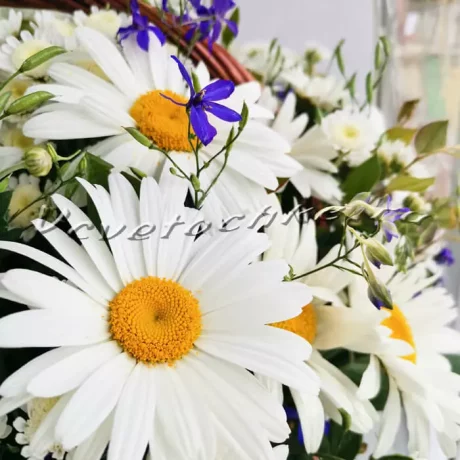 Композиция "Корзина ромашек", Доставка цветов Тольятти, цветы Тольятти, Vcvetochke